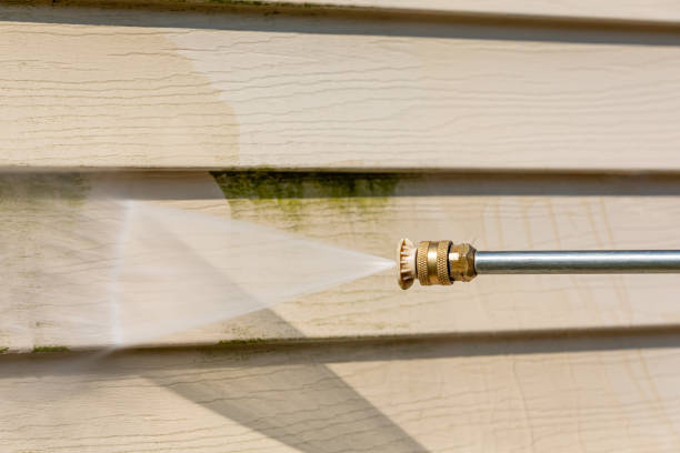 Best House Pressure Washing  in South Taft, CA